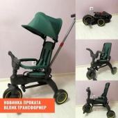 ������� - �������-����� �����������